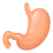 Gut Health